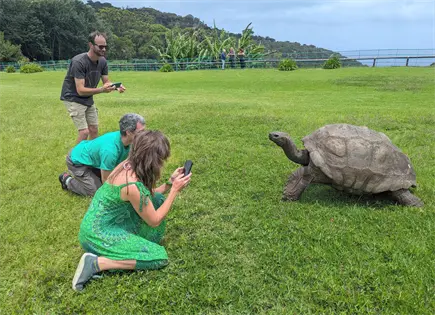 Tortuga Jonathan sigue viva en isla Santa Elena: desmienten muerte