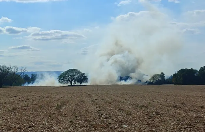 Aplican sanciones por incendios urbanos en Valles