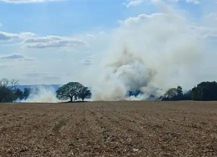 Alerta CEPC a municipios por oficios falsos para apoyos