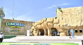 DinOasis ser&aacute; gratuito martes y mi&eacute;rcoles