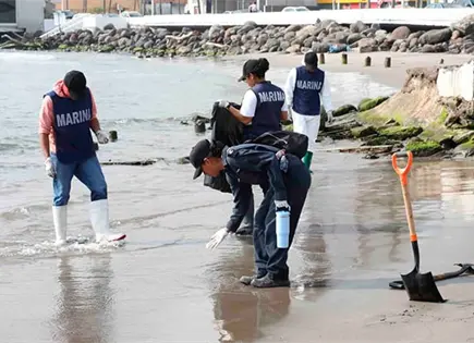 Recogen 889.4 toneladas de hidrocarburo en playas Recogen 889.4 toneladas de hidrocarburo en playas