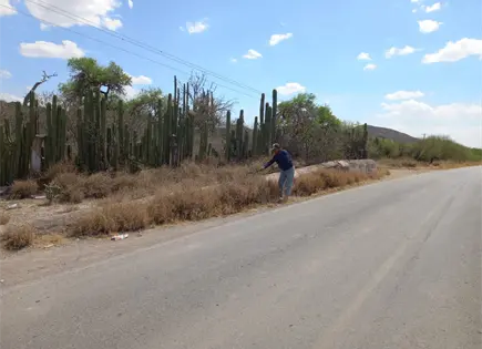 Bocas intensifica rehabilitaci&oacute;n de caminos rurales en comunidades