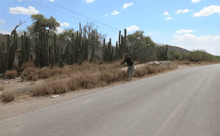 Bocas intensifica rehabilitaci&oacute;n de caminos rurales en comunidades