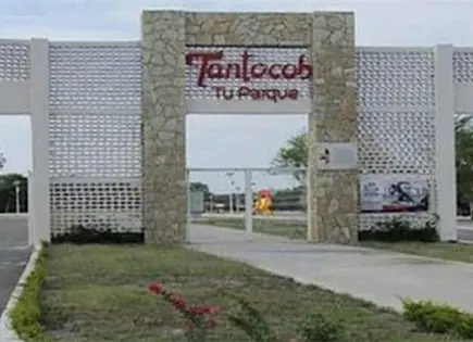 Denuncia artista local robos en el Tantocob