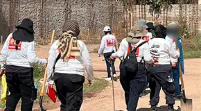 No procesan  hasta 26 sitios  de exterminio