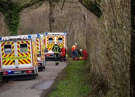 Caída de árbol en Alemania deja tres muertos Caída de árbol en Alemania deja tres muertos