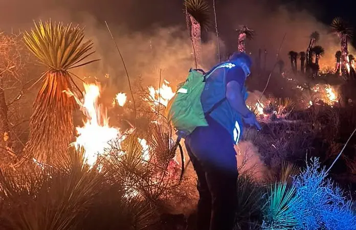 Ya van 54 incendios forestales en lo que va del a&ntilde;o:CEPC