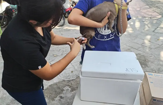 Jornada de vacunación antirrábica