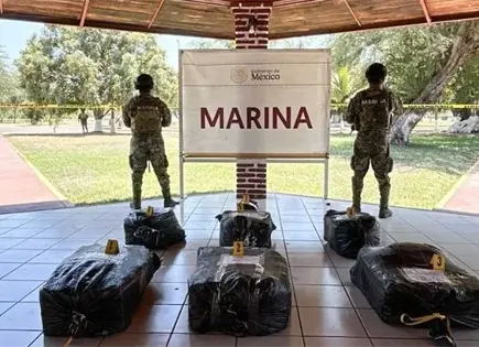 Aseguran 265 kg de coca&iacute;na en operaci&oacute;n mar&iacute;tima en Michoac&aacute;n