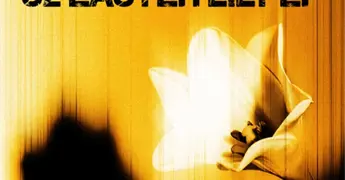 U2 LANZA &acute;EASTER LILY&acute;, SU SEGUNDO EP DE ESTE A&Ntilde;O