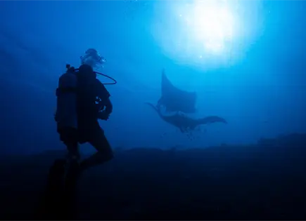 Ecosistema en Indonesia amenazado por industria de la miner&iacute;a