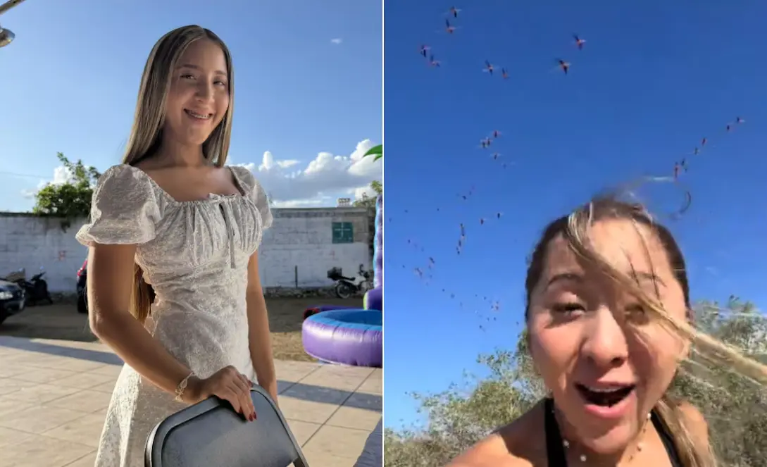 Influencer desata polémica por espantar flamencos en Yucatán