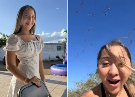 Influencer desata polémica por espantar flamencos en Yucatán Influencer desata polémica por espantar flamencos en Yucatán