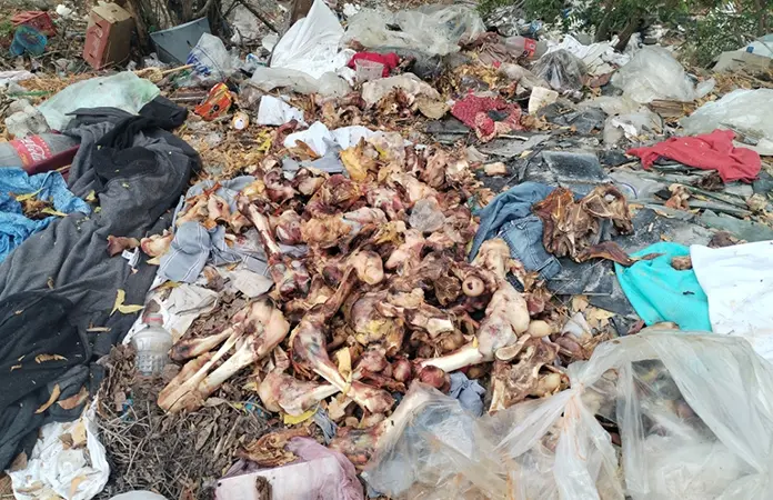 Aparece basurero clandestino en el Bulevar Universidad