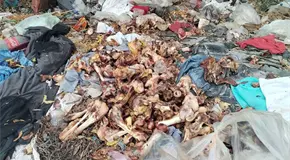 Aparece basurero clandestino en el Bulevar Universidad