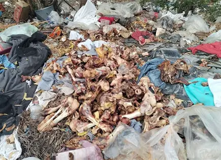 Aparece basurero clandestino en el Bulevar Universidad