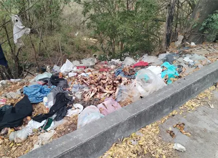 Crece basurero clandestino junto al bulevar Universidad en Valles