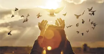 HAY DUDAS QUE ROBAN LA PAZ