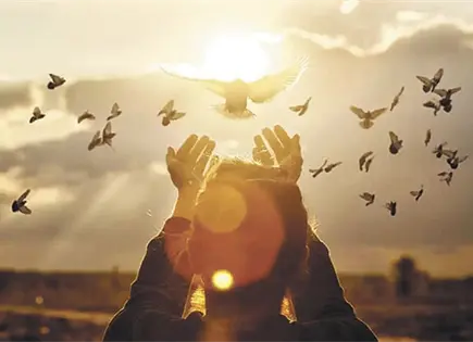 HAY DUDAS QUE ROBAN LA PAZ