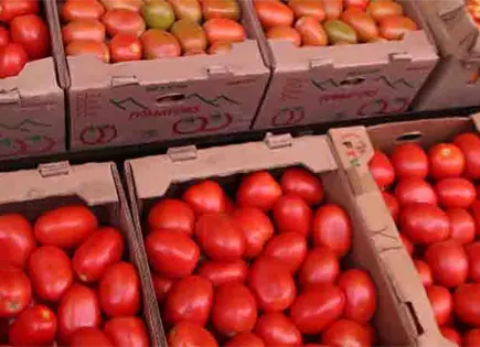 Precio del jitomate alcanza hasta los 98 pesos por kilo