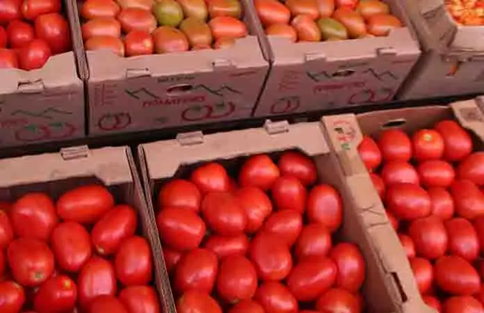 Precio del jitomate alcanza hasta los 98 pesos por kilo