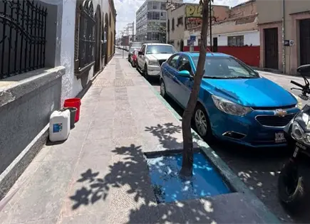 Multan a due&ntilde;o de negocio por echar pintura en &aacute;rbol