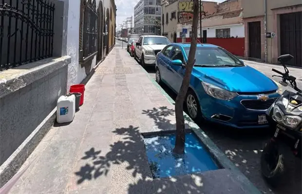 Multan a dueño de negocio por echar pintura en árbol Multan a dueño de negocio por echar pintura en árbol