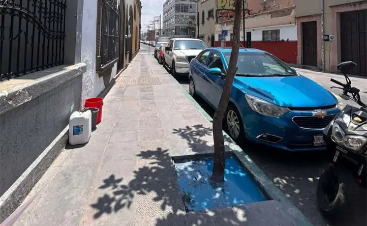 Multan a due&ntilde;o de negocio por echar pintura en &aacute;rbol