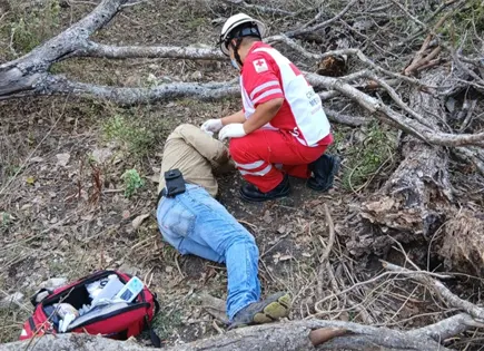 Cae rama de &aacute;rbol sobre le&ntilde;ador en Ciudad Valles