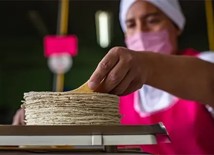 La tortilla se vende a $35 en el norte