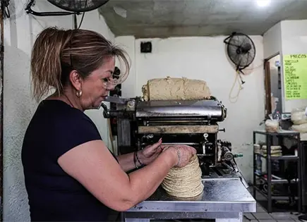 Descartan alza en el precio de la tortilla