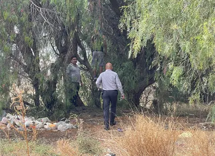 Localizan a hombre colgado en lote bald&iacute;o en Soledad