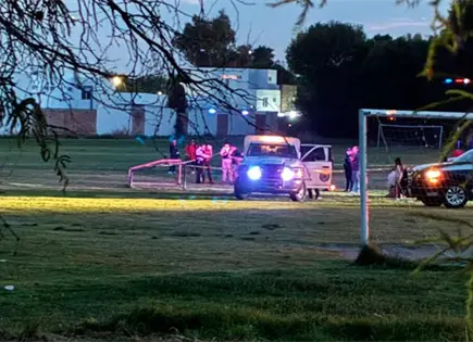 Muere menor tras caerle una porter&iacute;a en Ags.