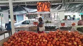 "Por las nubes", el precio del jitomate