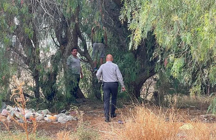 Hallan a un hombre colgado de un pirul