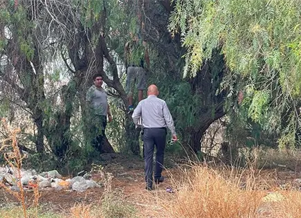 Hallan a un hombre colgado de un pirul