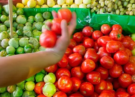 El jitomate, por los cielos