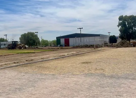 Anuncian 25 nuevas canchas de f&uacute;tbol