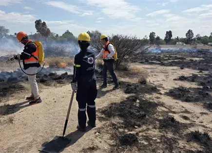 Contin&uacute;a SLP como la entidad m&aacute;s afectada por incendios: Conafor