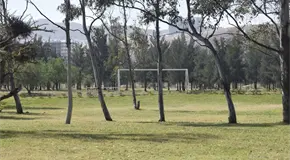 Plantea Arreola eliminar cobro por canchas en los Tangamanga