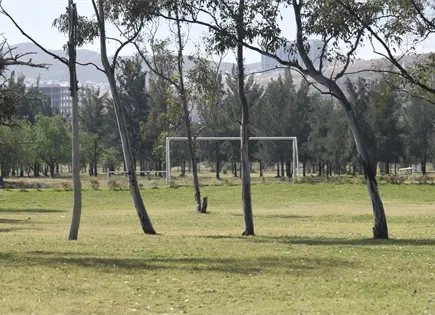Plantea Arreola eliminar cobro por canchas en los Tangamanga