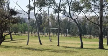 Revisar&aacute;n cuotas del Tangamanga