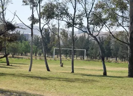 Revisarán cuotas del Tangamanga