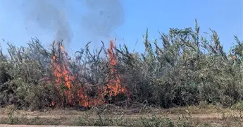 SL, el de m&aacute;s &aacute;rea quemada