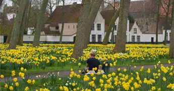 Beguinajes en B&eacute;lgica: oasis de calma y cultura femenina