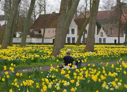 Beguinajes en B&eacute;lgica: oasis de calma y cultura femenina