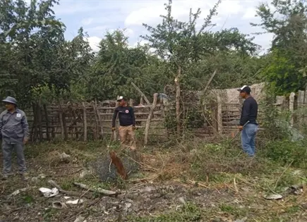 Colectivo Voz y Dignidad localiza nueve puntos de exterminio en Valles
