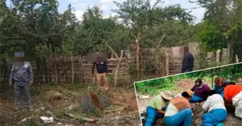 Encuentra Voz y Dignidad presuntos puntos de exterminio