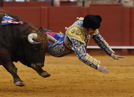 Morante de la Puebla sufre cornada en un gl&uacute;teo