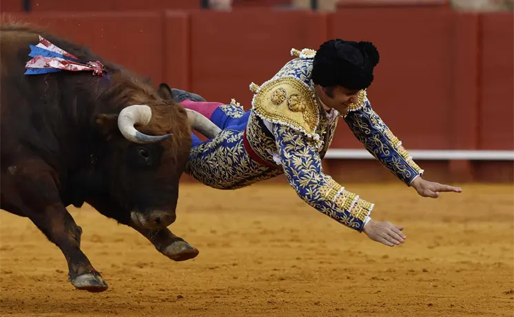 Morante de la Puebla sufre cornada en un gl&uacute;teo